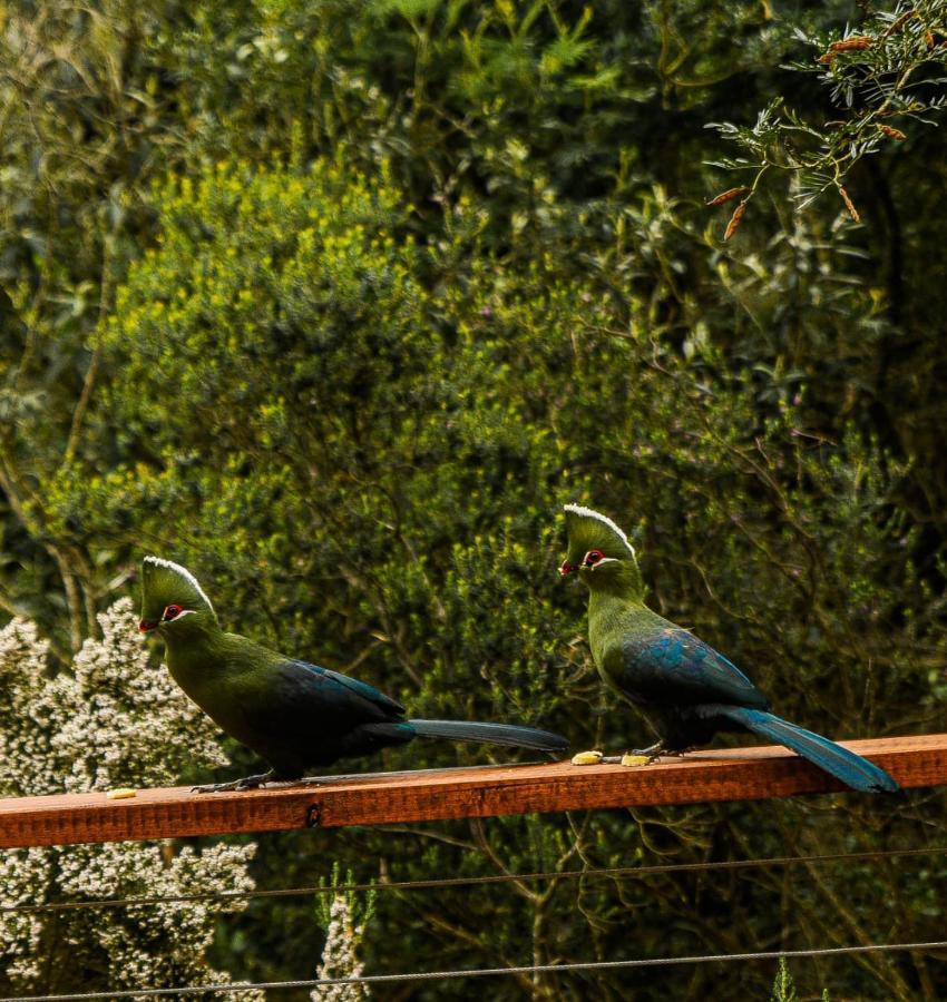 Forest Hill Wildernis Exterior photo