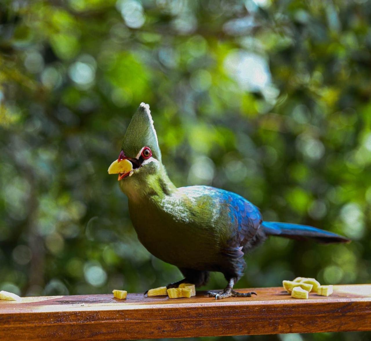 Forest Hill Wildernis Exterior photo